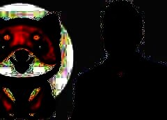 /img/posts/2021/07/elon-musk-tweet-sends-new-baby-doge-coin-soaring-meme-tokens-daily-gains-jump-228-768x432-1-240x172.jpg