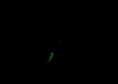 /img/posts/2021/07/fears-768x432-1-240x172.jpg
