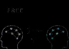/img/posts/2021/07/freeton-768x432-1-240x172.jpg