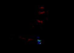 /img/posts/2021/07/gettyimages-108954179-1-240x172.jpg