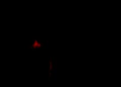 /img/posts/2021/07/gettyimages-1328227229-1-240x172.jpg