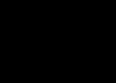 /img/posts/2021/07/kelly-ap-nlsize-240x172.jpg