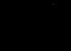 /img/posts/2021/07/nb-768x432-1-240x172.jpg