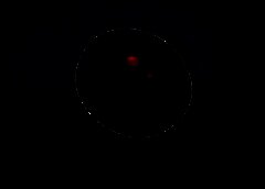 /img/posts/2021/07/photo6030633897974412471-768x432-1-240x172.jpg