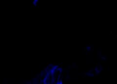 /img/posts/2021/07/pwc-240x172.jpg