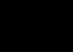 /img/posts/2021/07/shib-768x432-1-240x172.jpg