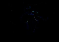 /img/posts/2021/07/shutterstock_1017176380-768x432-1-240x172.jpg