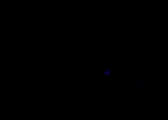 /img/posts/2021/07/shutterstock_1711662352-768x432-1-240x172.jpg