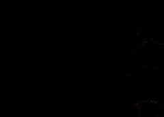/img/posts/2021/07/shutterstock_1797061261-768x432-1-240x172.jpg