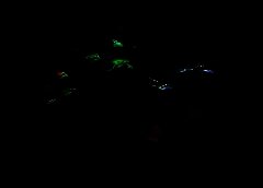 /img/posts/2021/07/shutterstock_1858350481-768x432-1-240x172.jpg