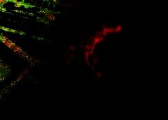 /img/posts/2021/07/shutterstock_1974816575-768x432-1-240x172.jpg