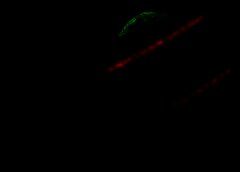 /img/posts/2021/07/shutterstock_1978906883-768x432-1-240x172.jpg