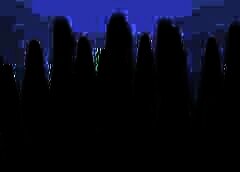 /img/posts/2021/07/shutterstock_413422732-768x432-1-240x172.jpg