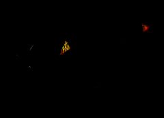 /img/posts/2021/07/shutterstock_661816195-768x432-1-240x172.jpg