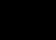/img/posts/2021/07/sp-indices-768x432-1-240x172.jpg
