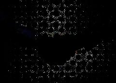/img/posts/2021/07/vitalik-polkadot-240x172.jpg