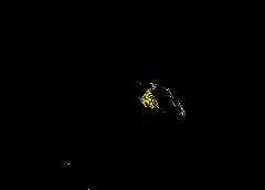 /img/posts/2021/08/08252021-afghanistan-ap-773-240x172.jpg