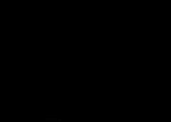 /img/posts/2021/08/210114-catalina-cruz-ap-773-240x172.jpg