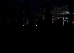 /img/posts/2021/08/210801-lollapalooza-ap-773-240x172.jpg