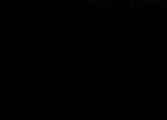 /img/posts/2021/08/210813-gottheimer-ap-773-240x172.jpg