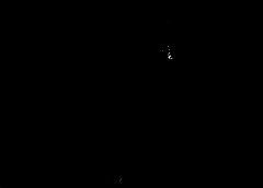 /img/posts/2021/08/210816-afghanistan-ap-773-240x172.jpg
