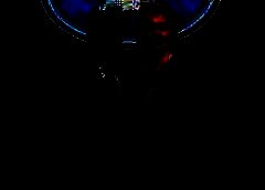 /img/posts/2021/08/210819-elder-773-240x172.jpg