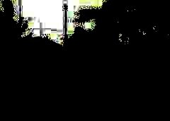 /img/posts/2021/08/210828-taliban-ap-773-240x172.jpg