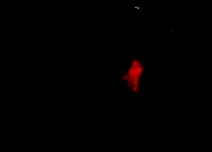 /img/posts/2021/08/8-9-21-defazio-ap-773-240x172.jpg