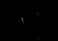 /img/posts/2021/08/ap20279514058599-1-240x172.jpg