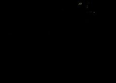 /img/posts/2021/08/ap21210614710278-1-240x172.jpg