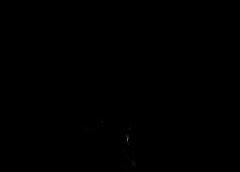 /img/posts/2021/08/ap21211635815457-1-240x172.jpg