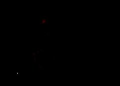 /img/posts/2021/08/ap21217601306388-1-240x172.jpg