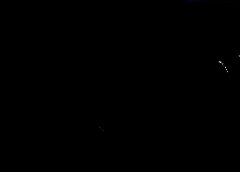 /img/posts/2021/08/ap21235681299021-1-240x172.jpg