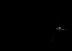 /img/posts/2021/08/bapes-240x172.jpg