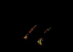 /img/posts/2021/08/c9DffcB6-photo_2021-08-02_16-24-16-240x172.jpg