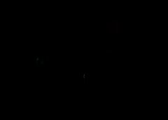 /img/posts/2021/08/cubannftslazyhhc-240x172.jpg