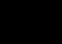 /img/posts/2021/08/dogek-240x172.jpg