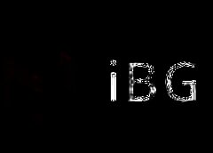 /img/posts/2021/08/ibg-240x172.jpg