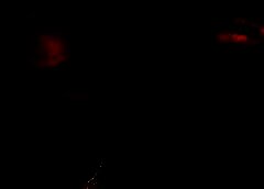 /img/posts/2021/08/oleary-doge-240x172.jpg