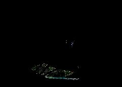 /img/posts/2021/08/shutterstock_1403177432-240x172.jpg