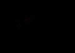 /img/posts/2021/08/shutterstock_1430667857-240x172.jpg