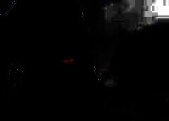 /img/posts/2021/08/shutterstock_1799721139-240x172.jpg