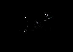 /img/posts/2021/08/shutterstock_1871401720-240x172.jpg
