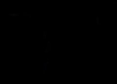 /img/posts/2021/08/shutterstock_1997864135-240x172.jpg
