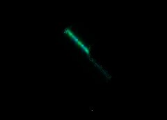/img/posts/2021/08/shutterstock_2015522714-240x172.jpg