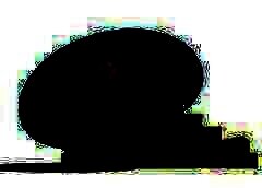 /img/posts/2021/08/shutterstock_357542477-240x172.jpg