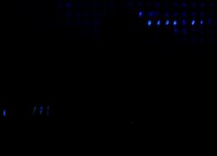 /img/posts/2021/08/shutterstock_550635961-240x172.jpg