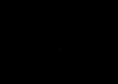 /img/posts/2021/08/shutterstock_655147243-240x172.jpg