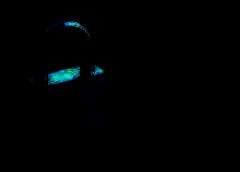 /img/posts/2021/08/shutterstock_766980976-240x172.jpg