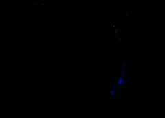 /img/posts/2021/08/shutterstock_784292353-240x172.jpg